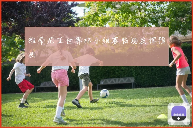 维蒂尼亚世界杯小组赛临场发挥预测
